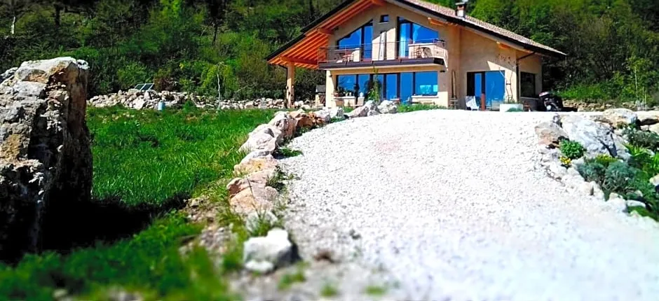 B&B Asinochevola