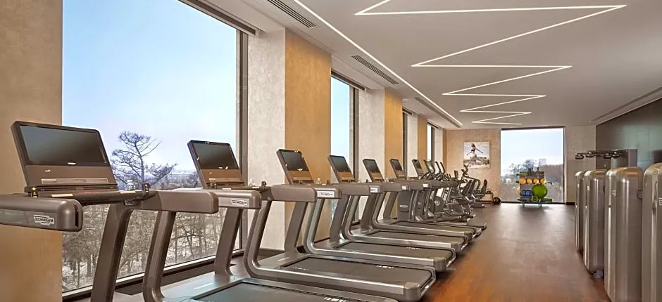 Hyatt Regency Moscow Petrovsky Park
