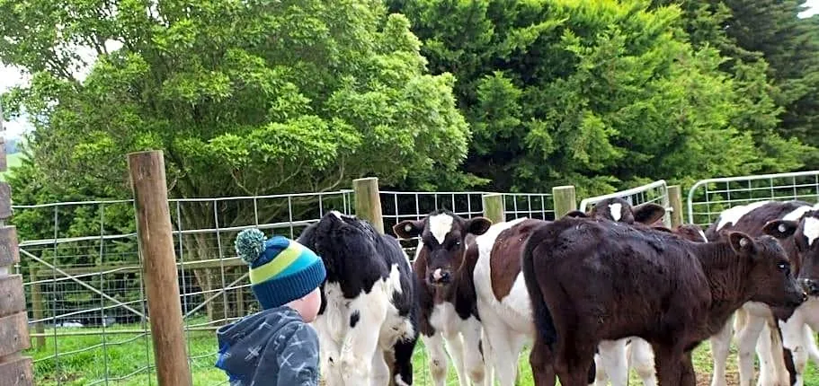 Manderley Park Farmstay BB