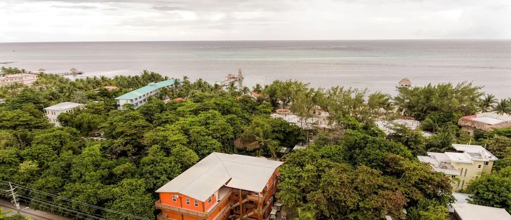 Hummingbird Suites Master King Room 3-3