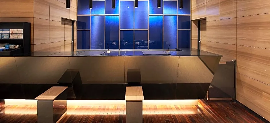 Sotetsu Fresa Inn Tokyo-Kanda