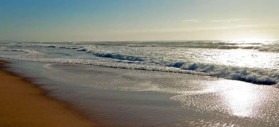 Protea Hotel by Marriott Karridene Beach