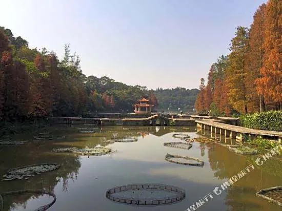 Mehood Theater Hotel (Shenzhen Luohu Grand Theater The MIXC)