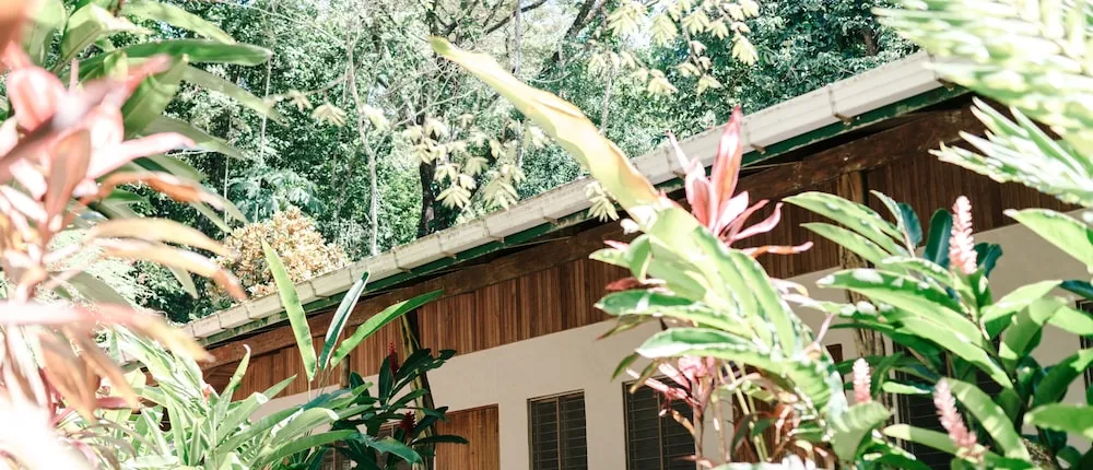Star Mountain Jungle Lodge