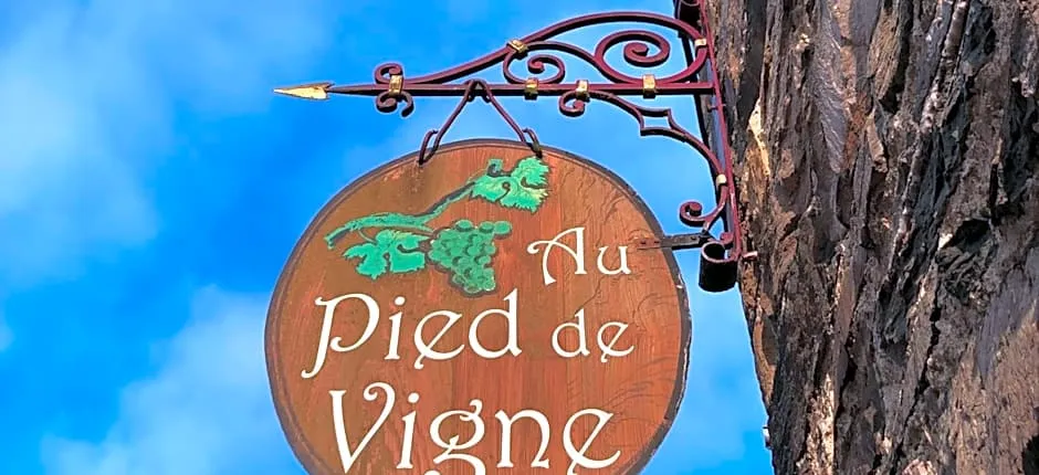 Appart Hotel Au Pied de Vigne
