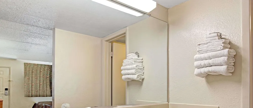 Super 8 by Wyndham Tampa U.S.F. Near Busch Gardens Downtown