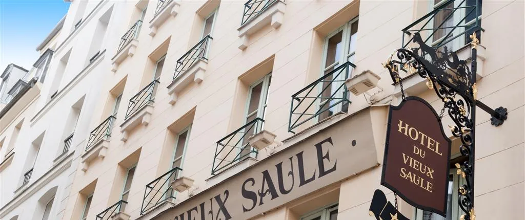 Og Du Vieux Saule Le Marais