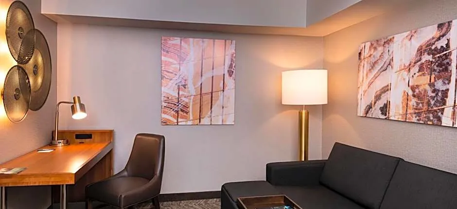 SpringHill Suites by Marriott Pittsburgh North Shore