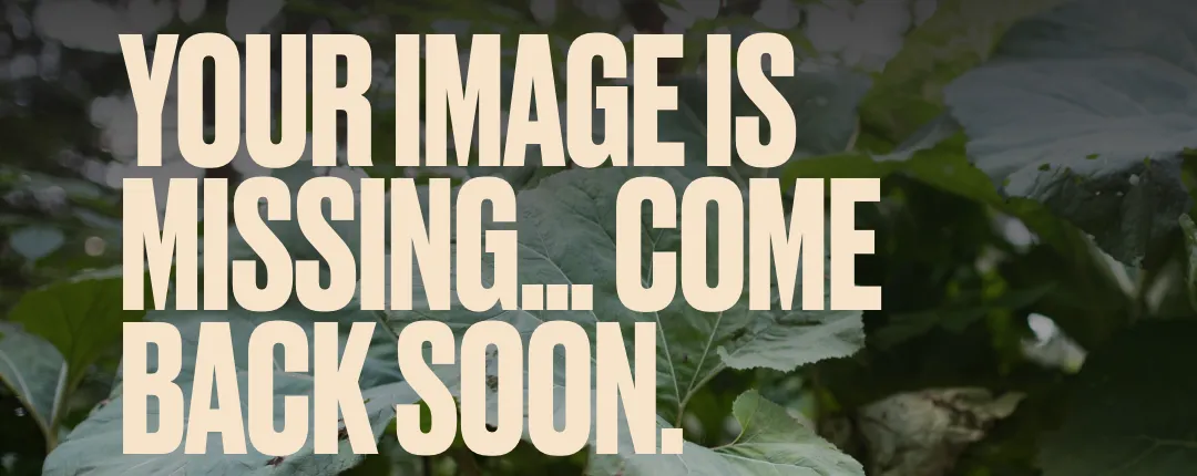 Splendid Great Wall Hotel