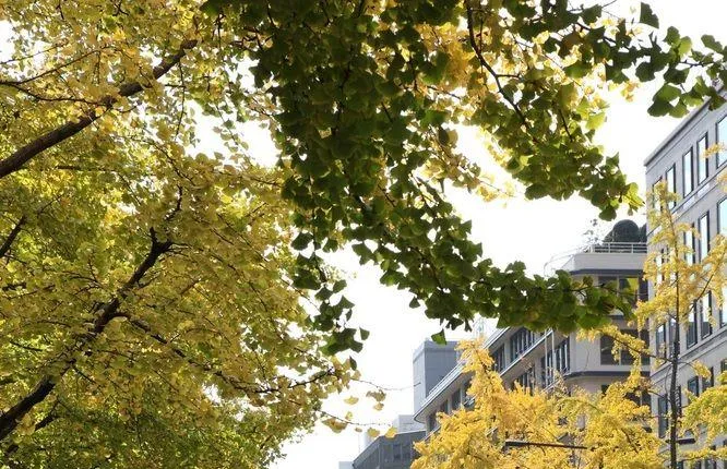 VIAINN SHINSAIBASHI NAGAHORIDORI