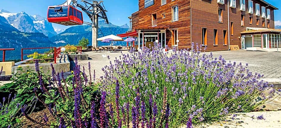 Hotel Panorama