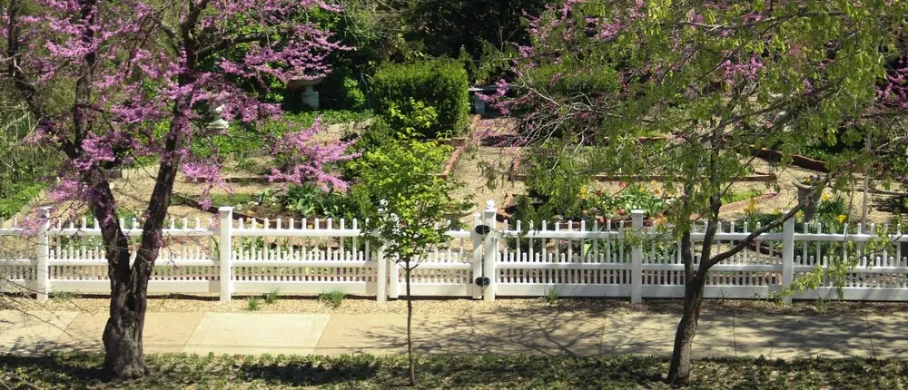 Moore House Bed and Breakfast