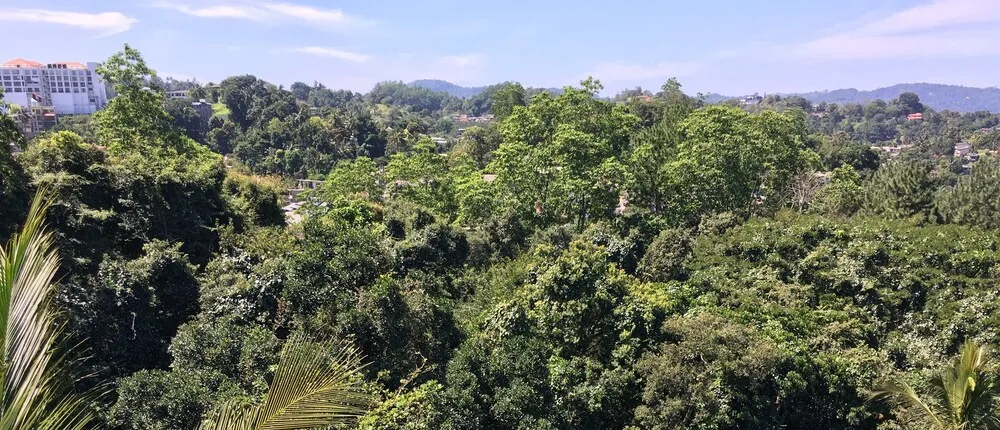 Villa Forest View