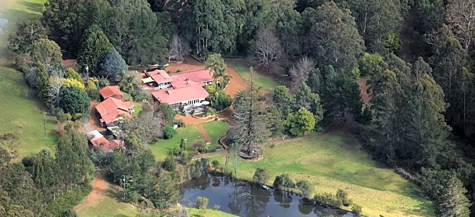 Forest Lodge Resort