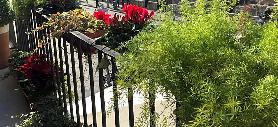 Alvino Suite And Breakfast