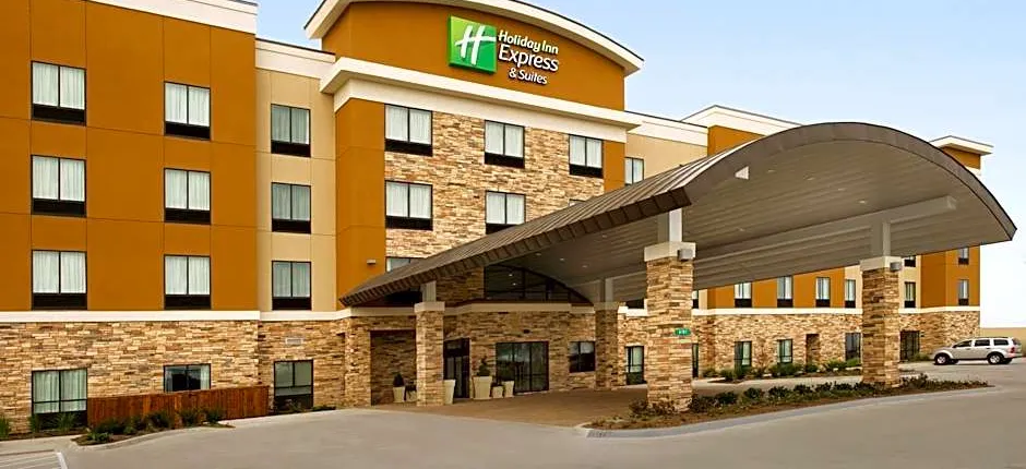 Holiday Inn Express Hotel & Suites Waco South By IHG