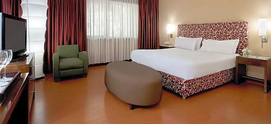 NH Mendoza Cordillera