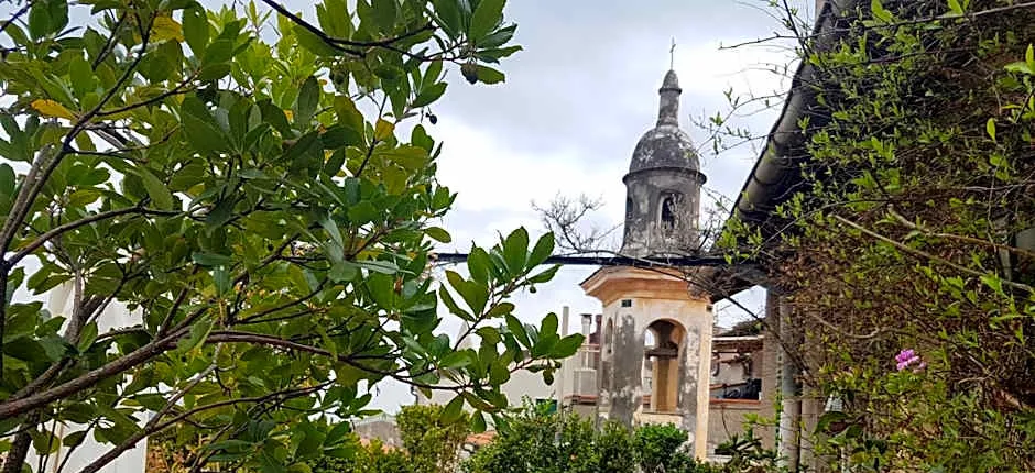 La Terrazza dei Pelargoni BB