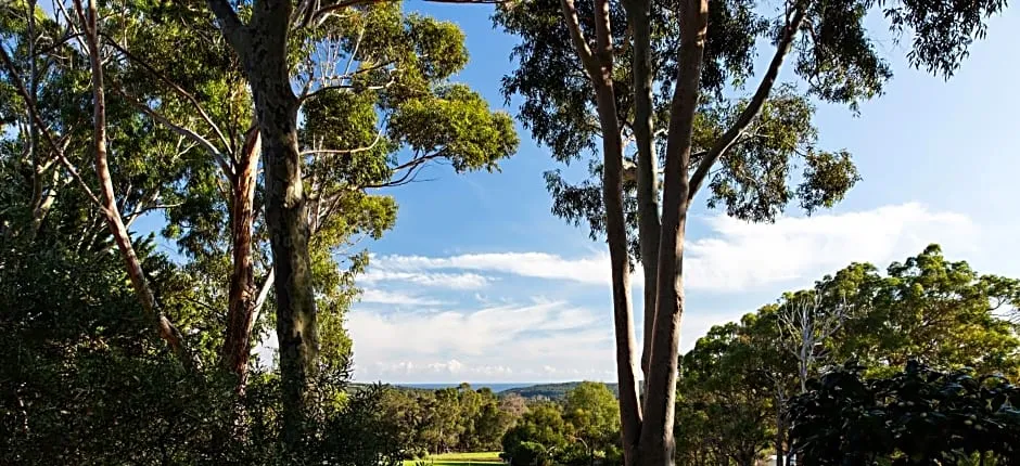 Wildwood Valley