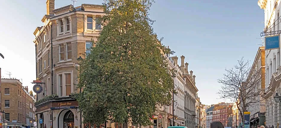 Stayo Leicester Square