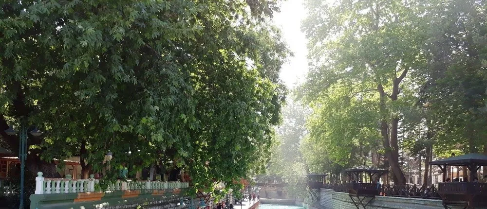 Bera Konya