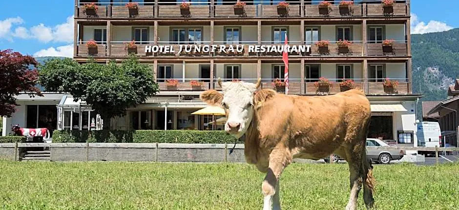 Jungfrau Hotel