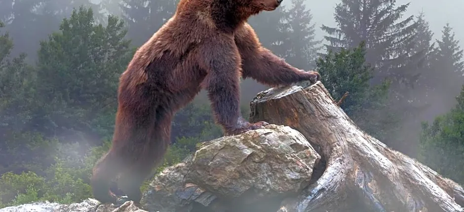 OMEO Suites Big Bear