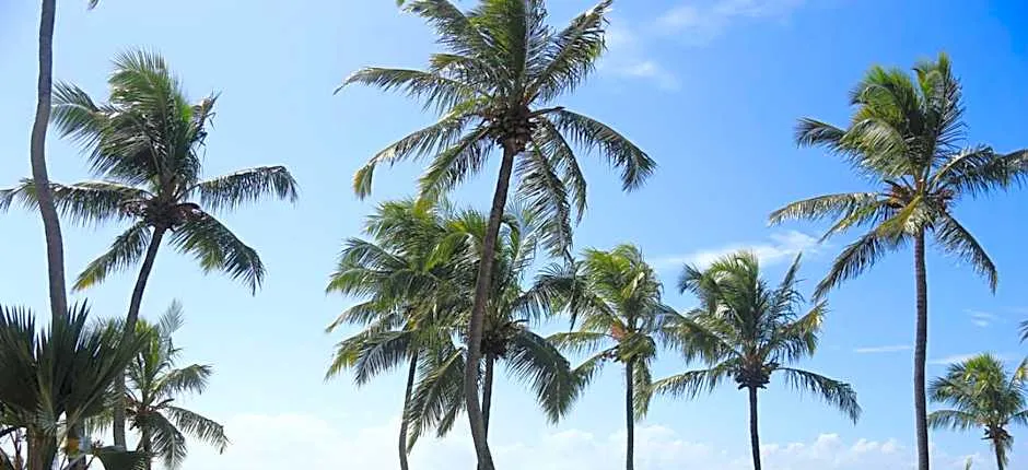 Casa beira mar em Muriu - Ceara Mirim RN