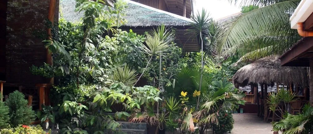 Jj's Backpackers Village