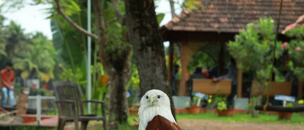 Ayurrathna Coir Village Lake Resort