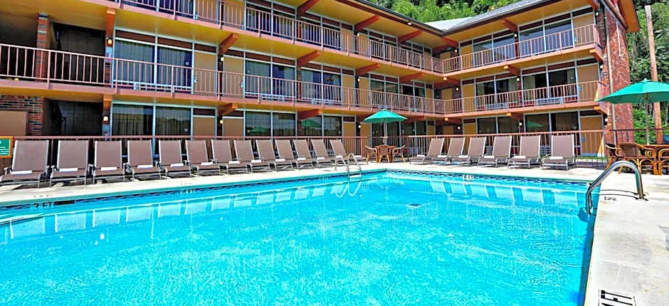 Wild Bear Inn