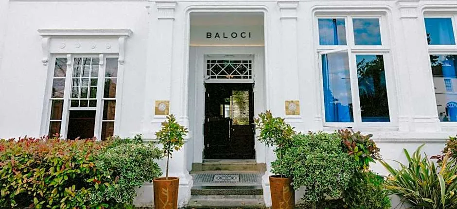 Baloci