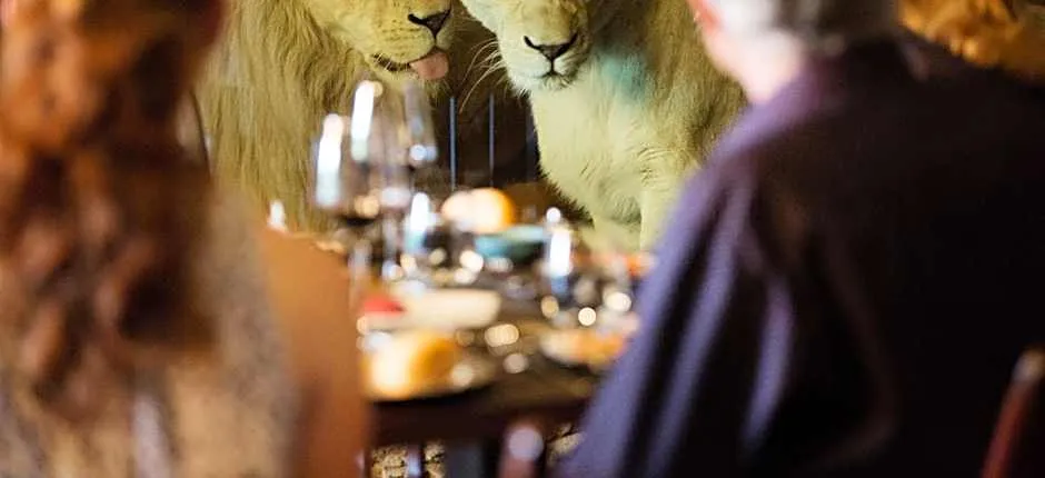 Jamala Wildlife Lodge