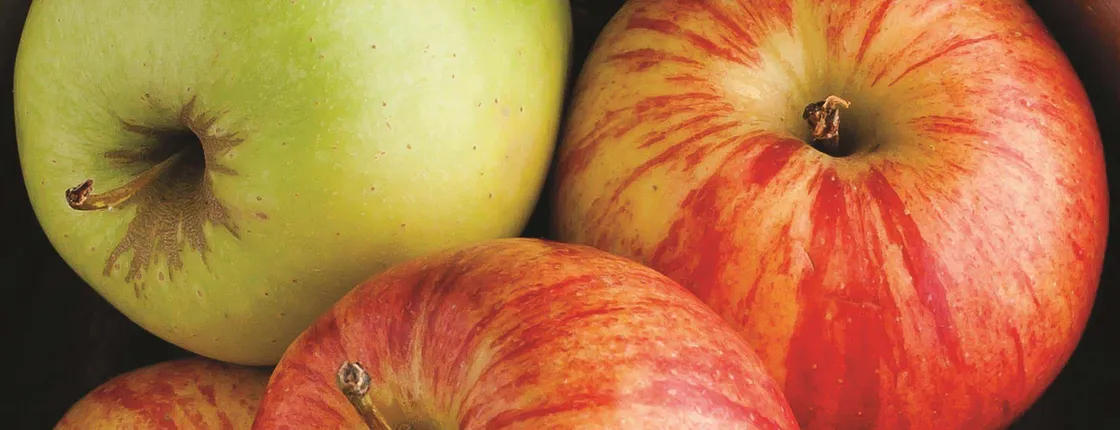 La Quinta Inn Suites By Wyndham Cullman