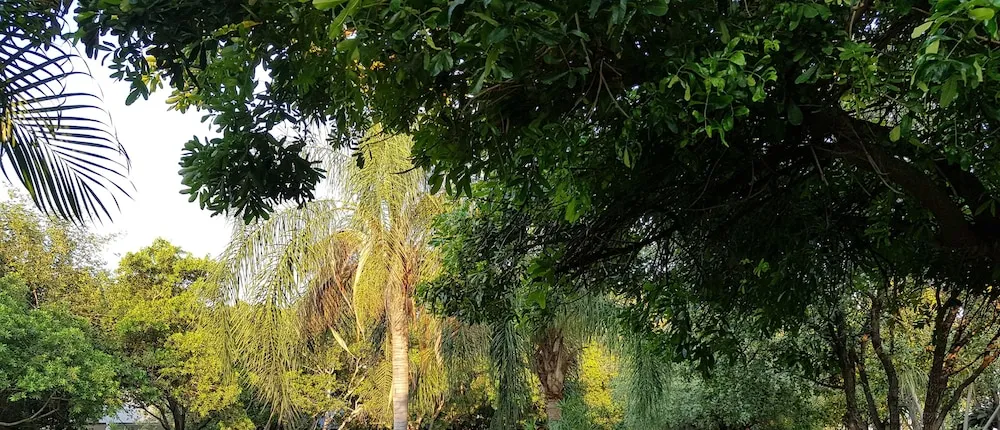 Baobab Chalets