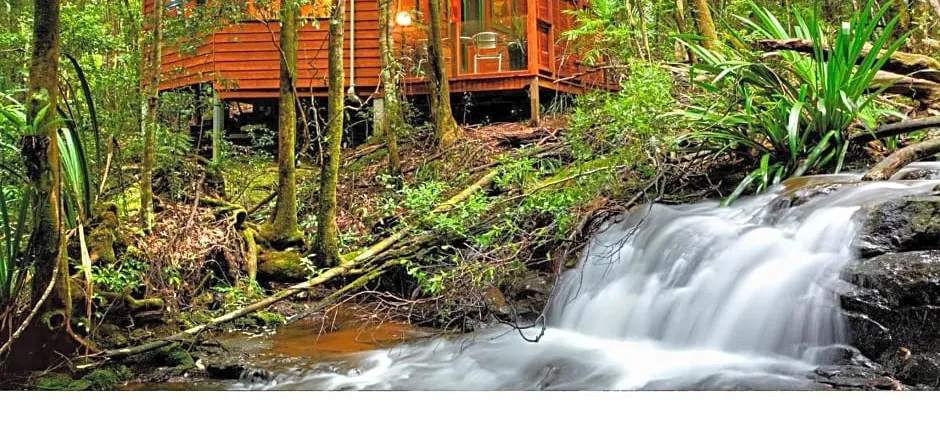 The Mouses House Rainforest Retreat