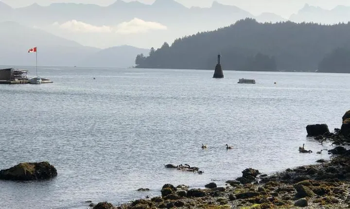 Gibsons Harbour Retreat
