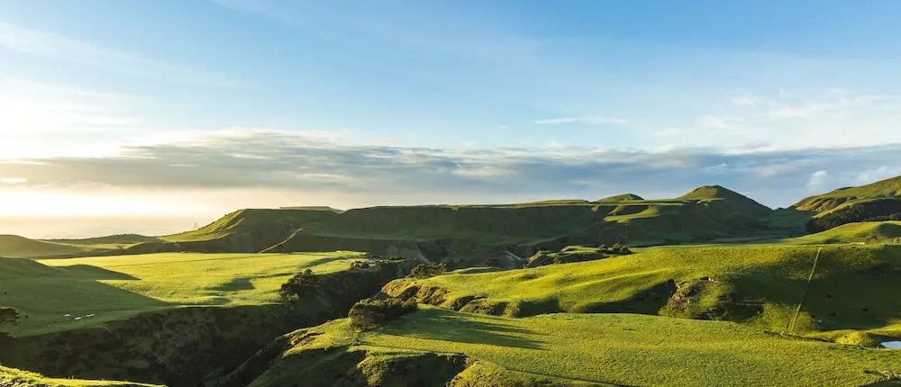Rosewood Cape Kidnappers