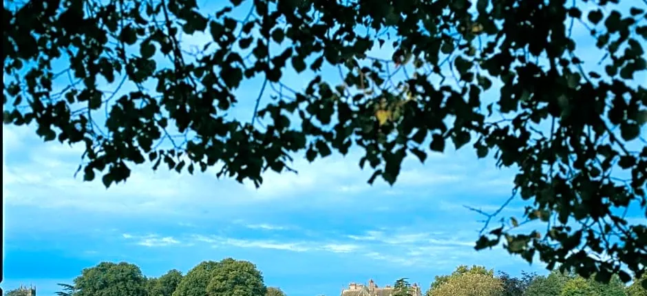 The Lodge at Castle Leslie Estate
