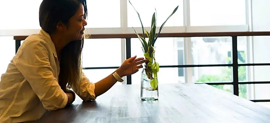 HOSTEL SunTerrace Ishigaki