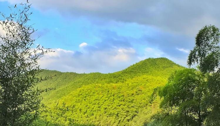 Hang Zhou Le Po Shan Jing Jing Pin Jiu Dian, Hangzhou