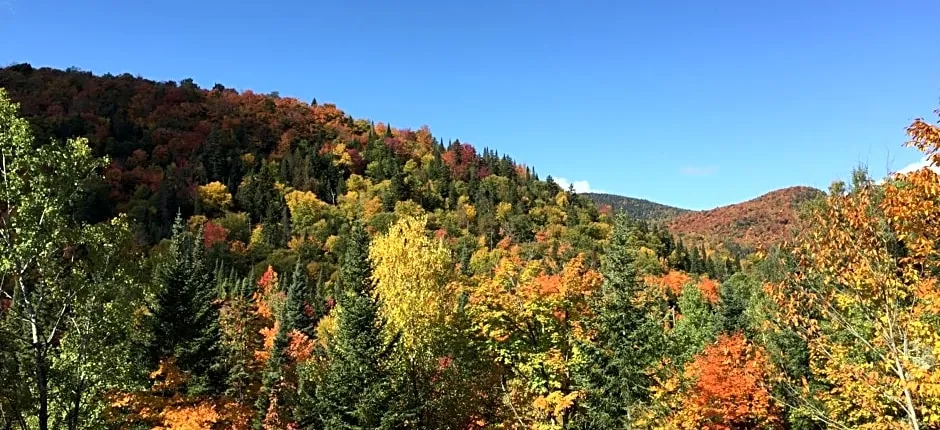 Loft Nature Laurentides