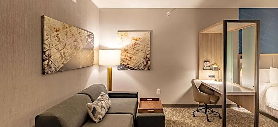 SpringHill Suites by Marriott Dallas McKinney/Allen