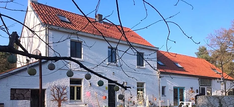 Slaaphuisje Het vliegend varken