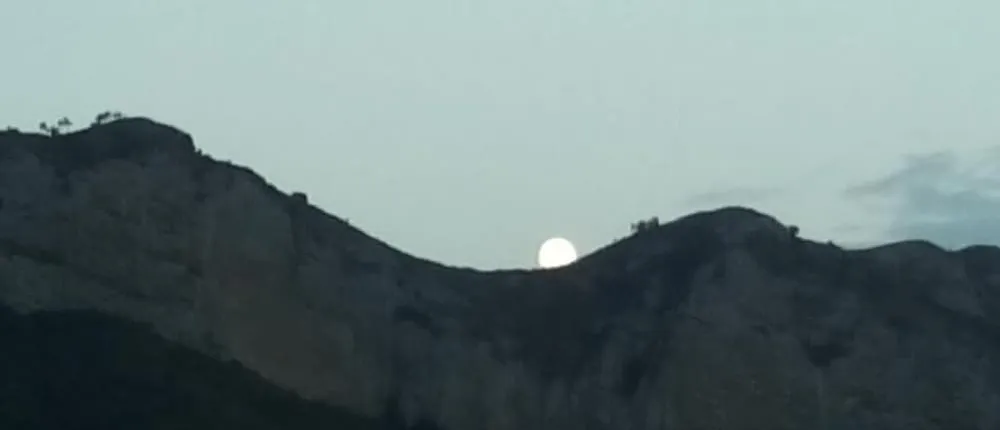 L'Erba degli Abrighi