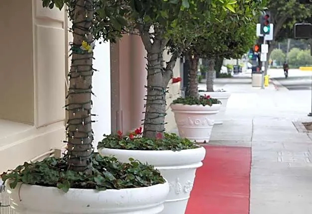 Hotel Carmel Santa Monica