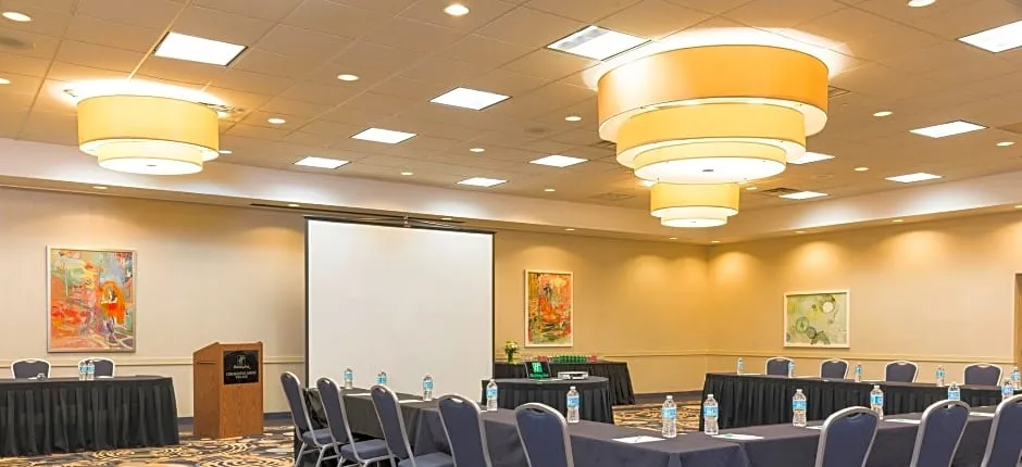 Holiday Inn Chicago - Elk Grove