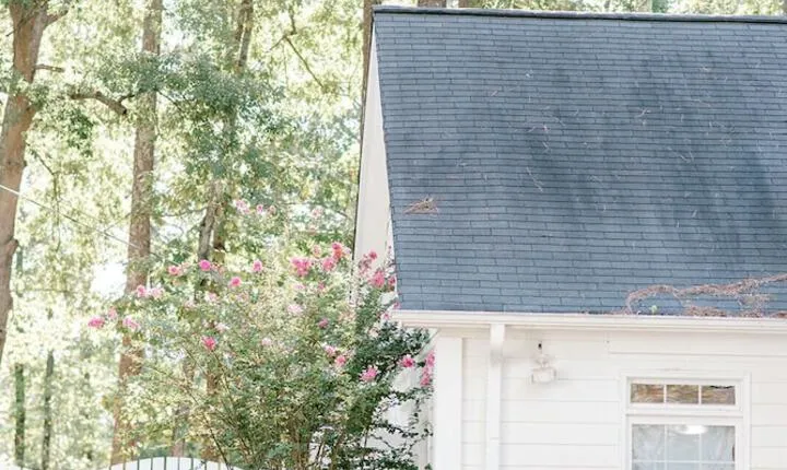 Georgia Palms & Gardens