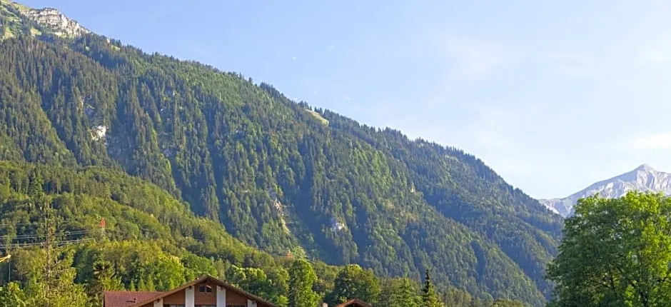 Seehotel Bönigen