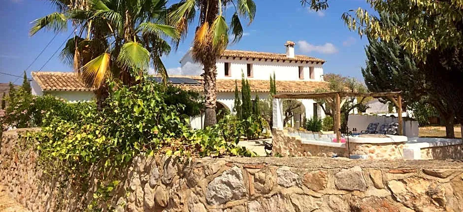 Buena Idea - Adults Only